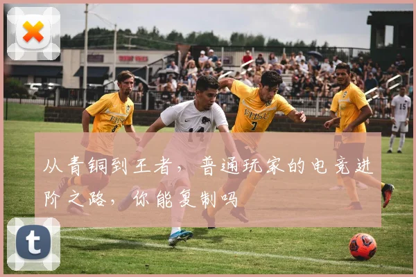 从青铜到王者，普通玩家的电竞进阶之路，你能复制吗