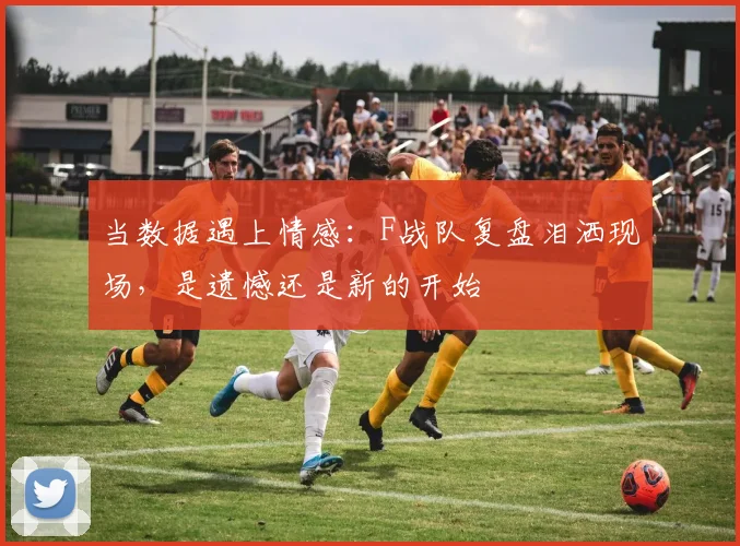 当数据遇上情感:F战队复盘泪洒现场,是遗憾还是新的开始